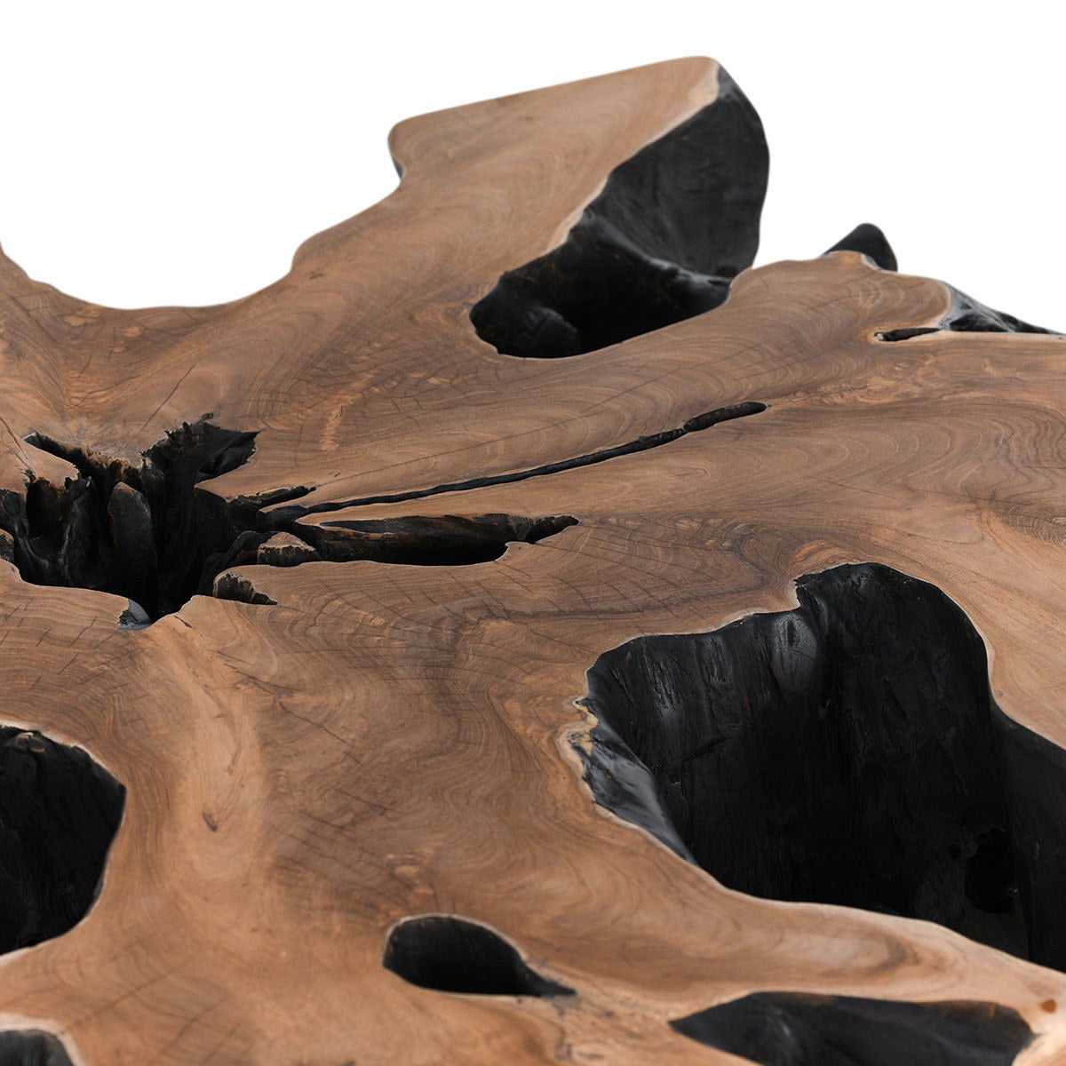 Cypress Root - 40" Square Coffee Table