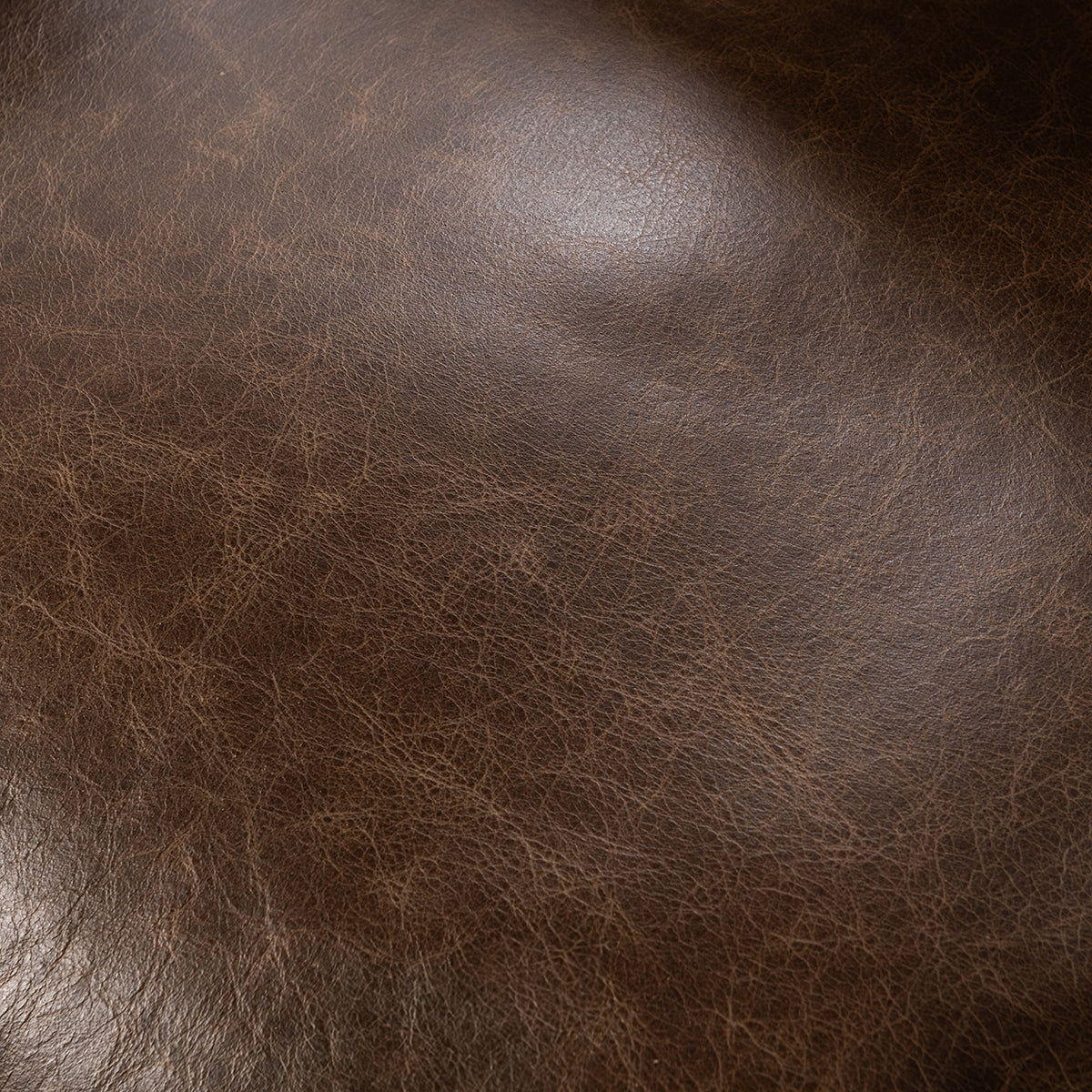 Strapling - Leather Dining Chair