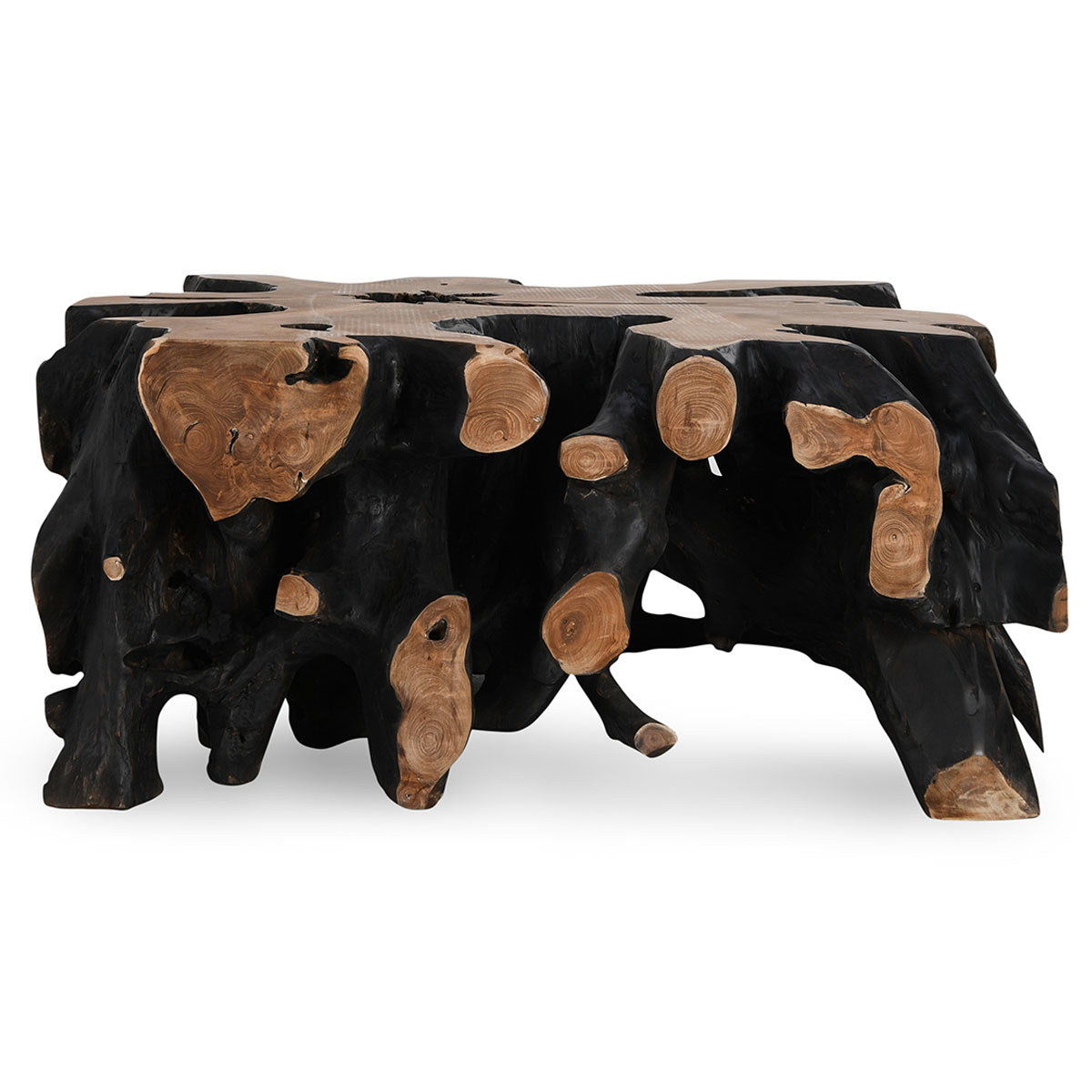 Cypress Root - 40" Square Coffee Table