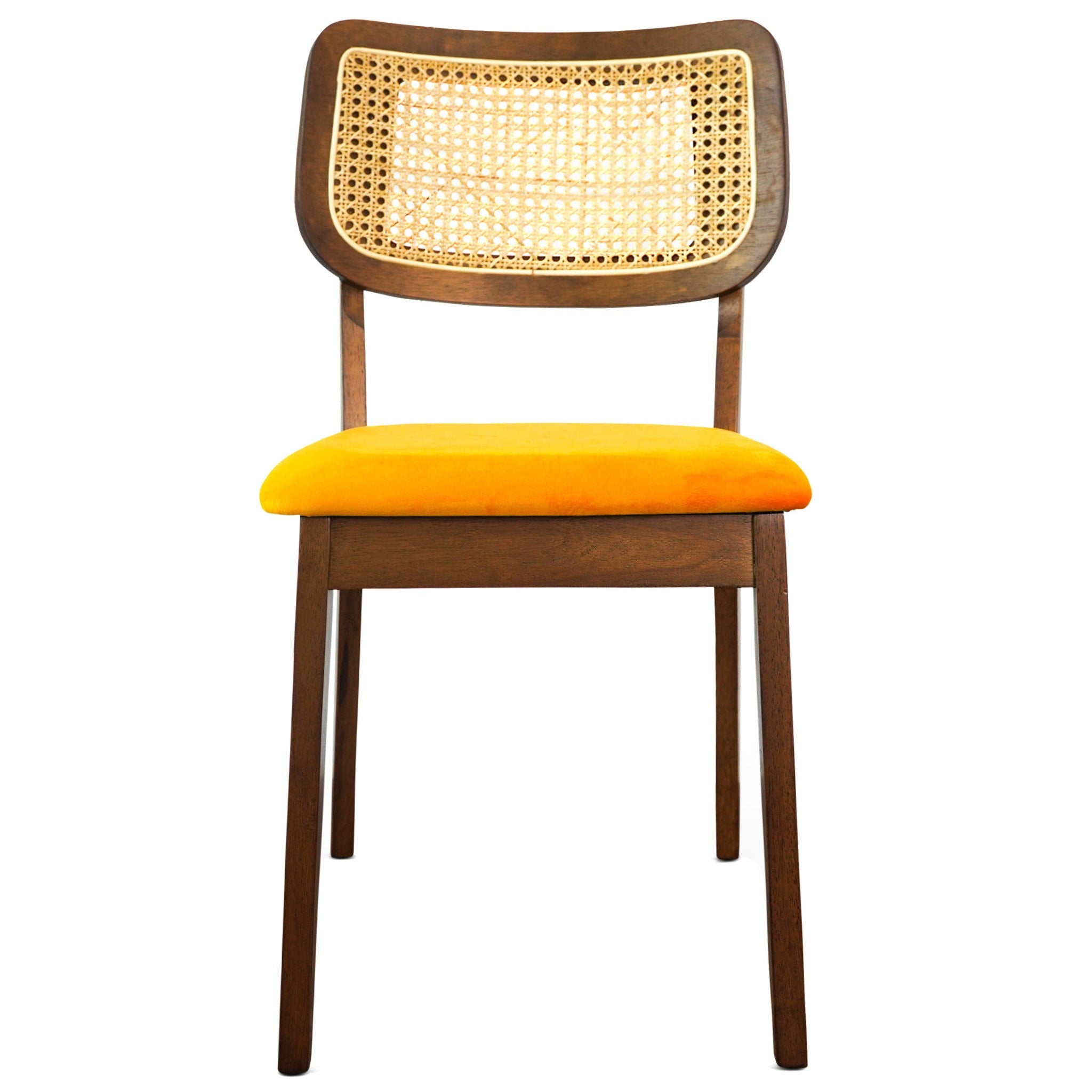 Kaden - Elegant Design Dining Chair (Set of 2)