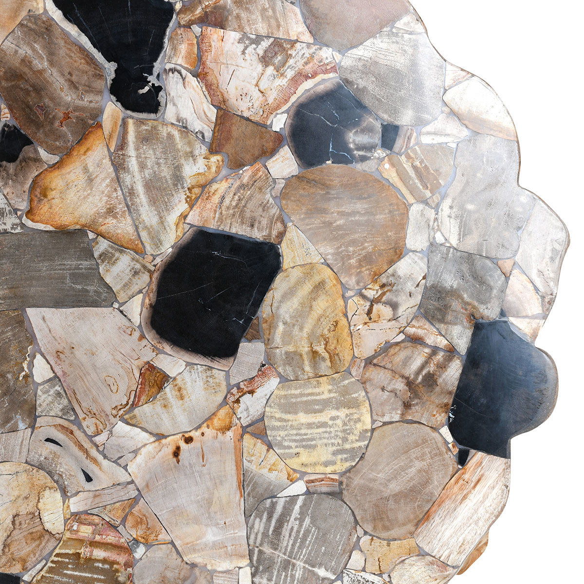 Norwest - Petrified Wood Coffee Table - Natural