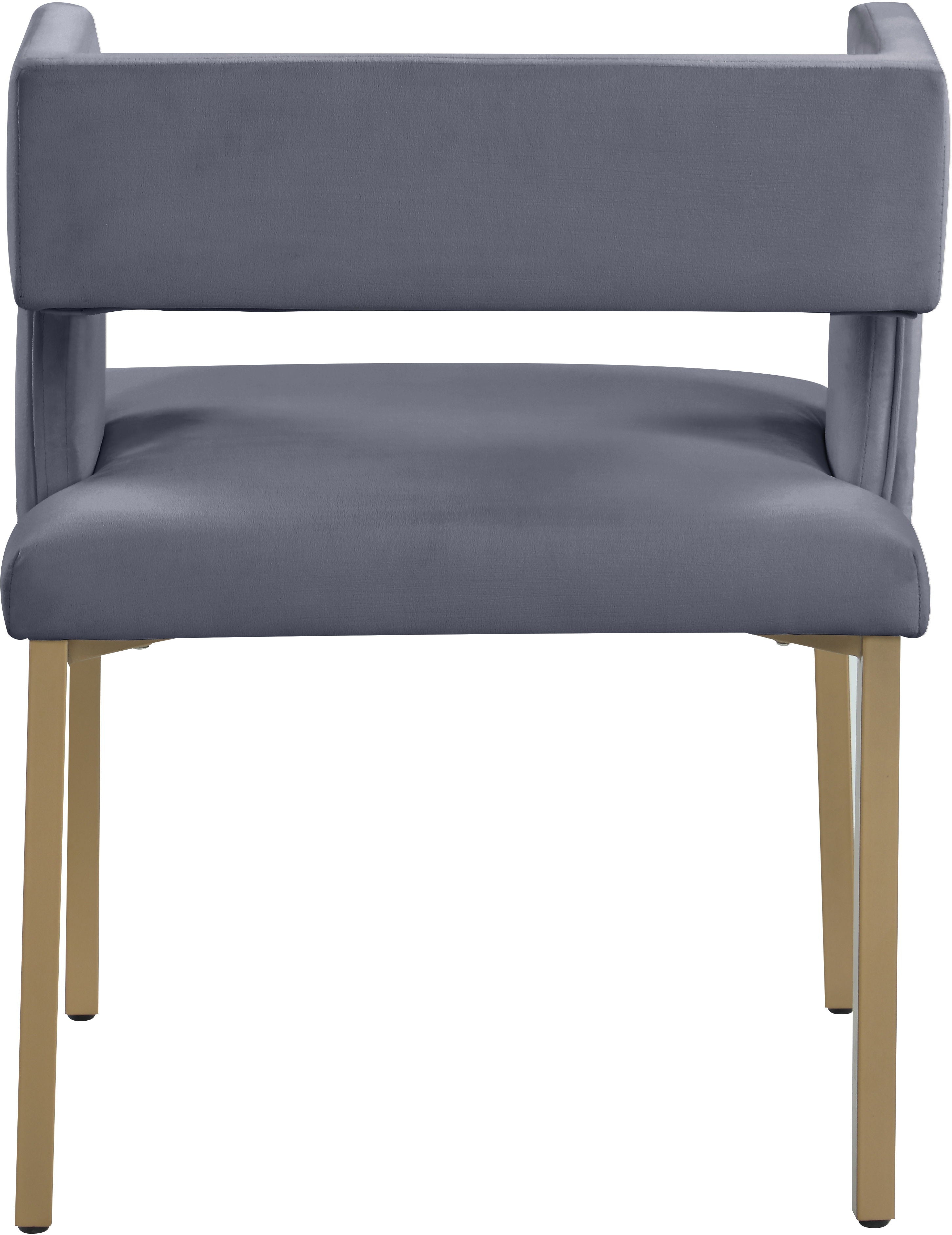 Caleb - Dining Chair with Gold Legs (Set of 2)